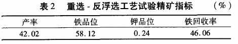 重選-反浮選工藝試驗精礦指標